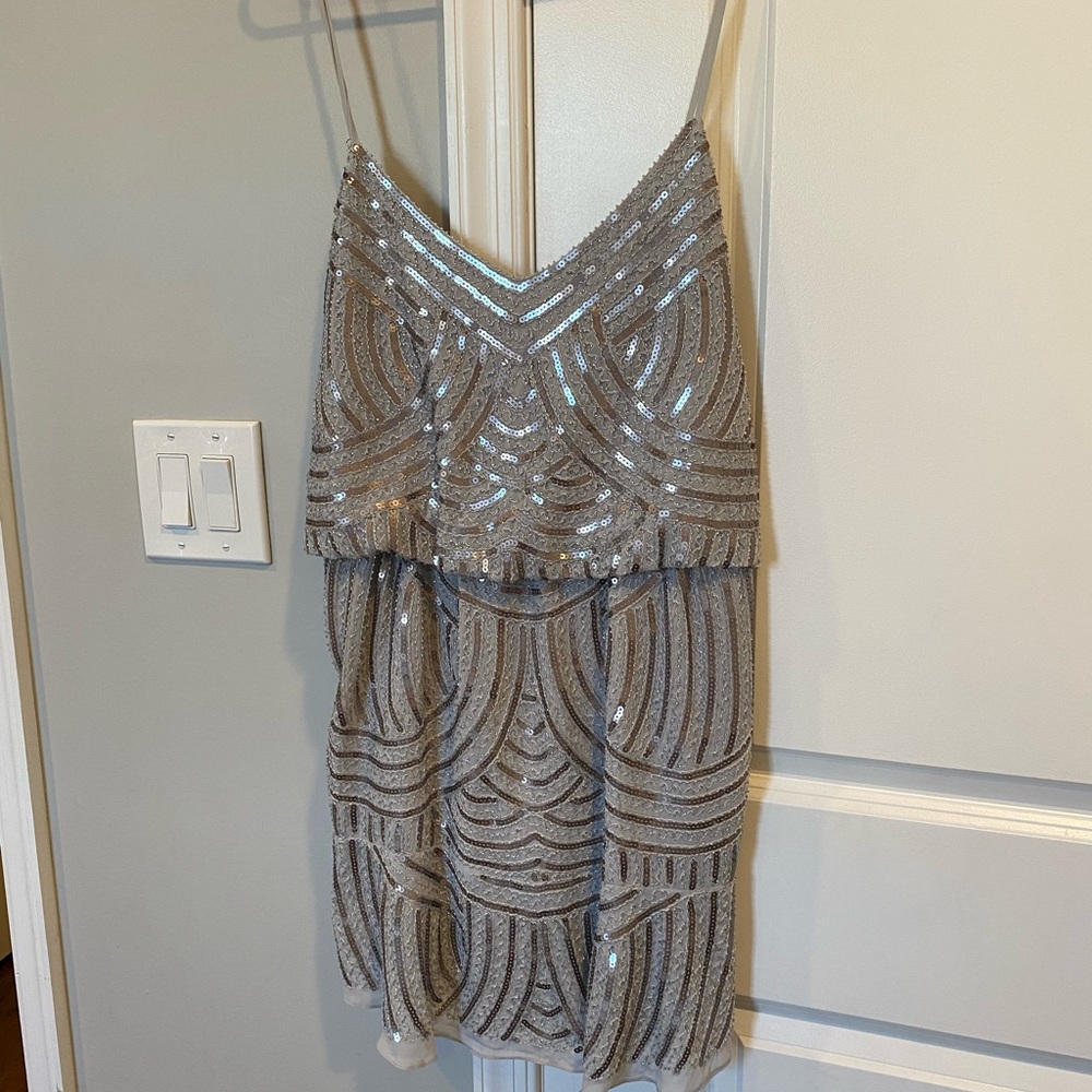 The impeccable pig, worn once, silver sparkly dress, size medium